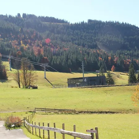 公寓 Haus Lina 奥伯约赫